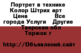 Портрет в технике “Колор-Штрих-арт“ › Цена ­ 250-350 - Все города Услуги » Другие   . Тверская обл.,Торжок г.